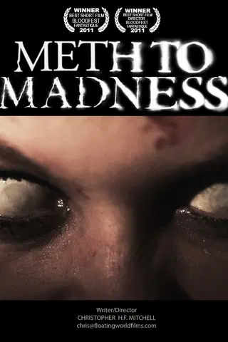 Meth to Madness