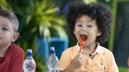 The Secret Life of 4, 5 and 6 Year Olds