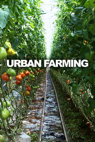 Urban Farming