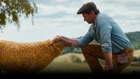 The Sheep Detectives