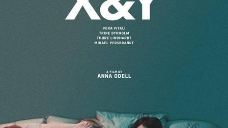 X & Y