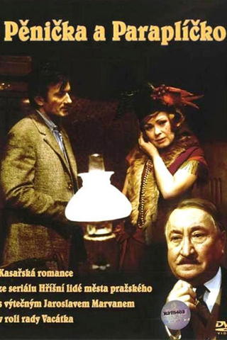 Burglar and Umbrella