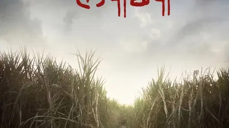 Lapachhapi
