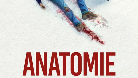 Anatomie eines Falls