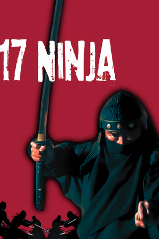 17 Ninja