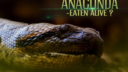 Eaten Alive
