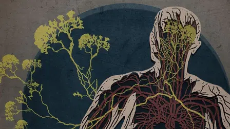 The Creeping Garden