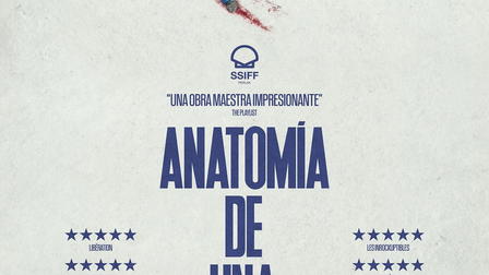 Anatomía de una caída