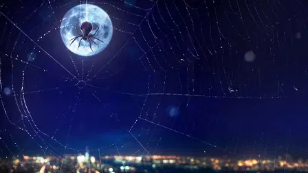 Alles over de Spider-Man films