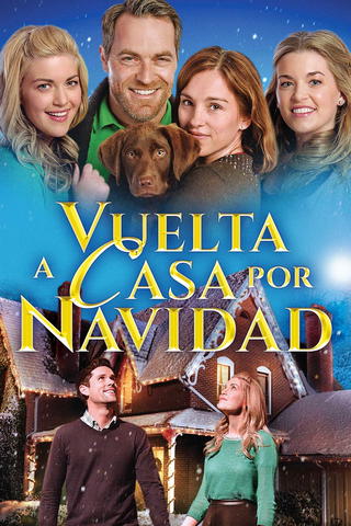 Vuelta a casa por Navidad