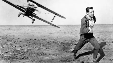 The Hollywood Collection: Cary Grant El Protagonista