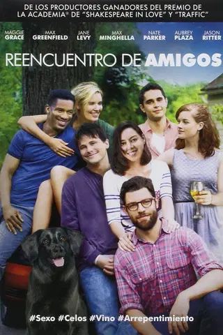 Reencuentro de amigos
