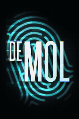 The Mole: Belgium