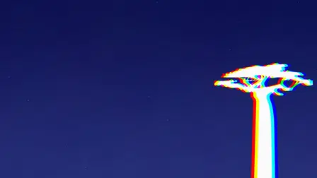 Quand les étoiles rencontrent la mer