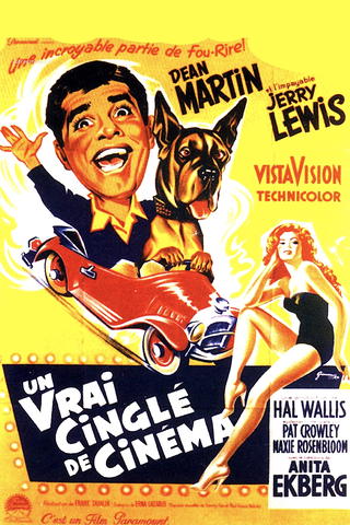 Un vrai cinglé de cinéma