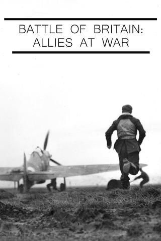 Battle of Britain 80: Allies at War