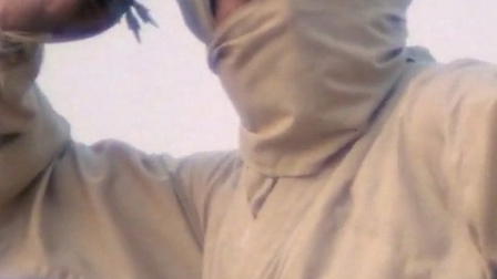 Re-Enter the 'New York Ninja'