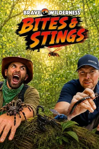 Brave Wilderness: Bites & Stings