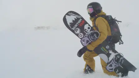 Butterfly in a Blizzard