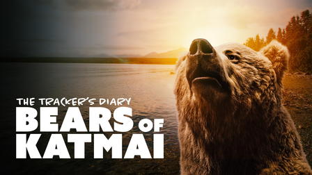 The Tracker's Diary: Bears of Katmai