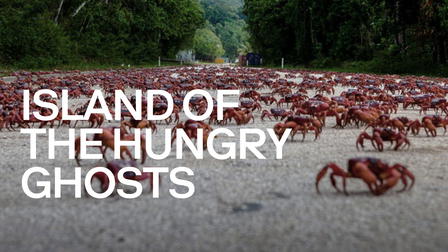 The Hungry Ghosts