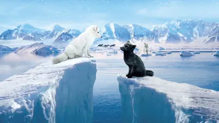 Kina & Yuk - Et arktisk eventyr