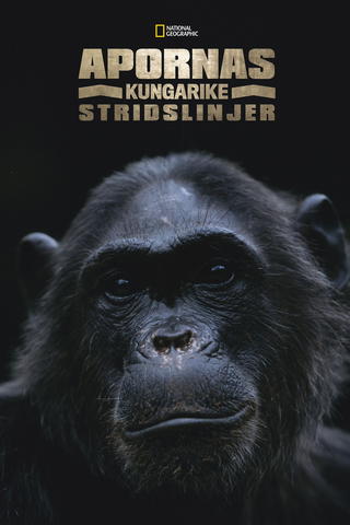 Apornas kungarike: Stridslinjer