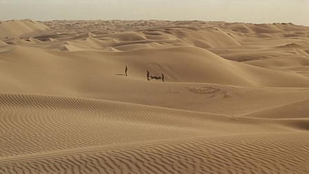 Oasis