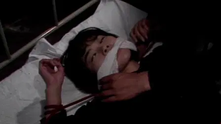 Guinea Pig Part 2: Flower of Flesh and Blood