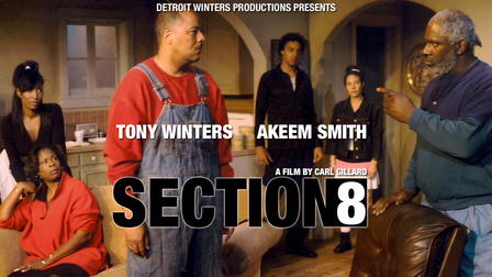 Section 8