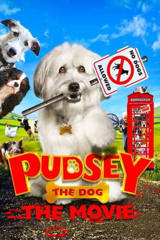 Pudsey: Un ciclone a 4 zampe