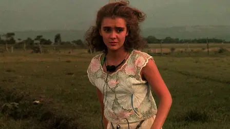 The Manor of Araucaima