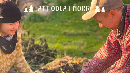 Med rötterna i snön (samiska)