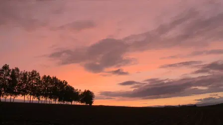 A poet is the sunset a cinematic remedy