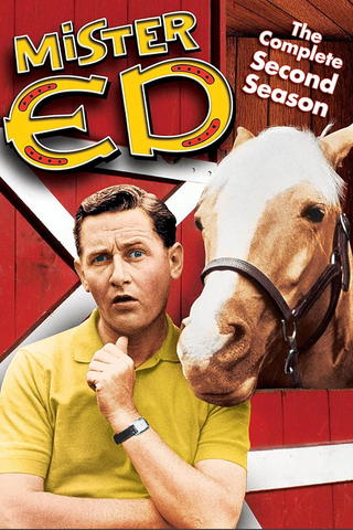 Mr. Ed