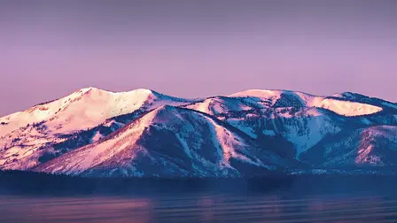 Cutthroat: The Race To Save Yellowstone