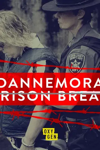 Dannemora Prison Break
