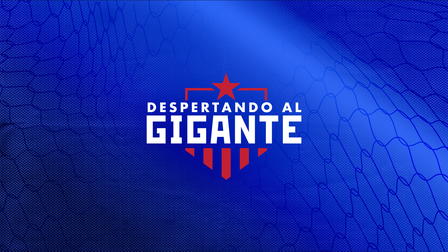 Despertando al gigante