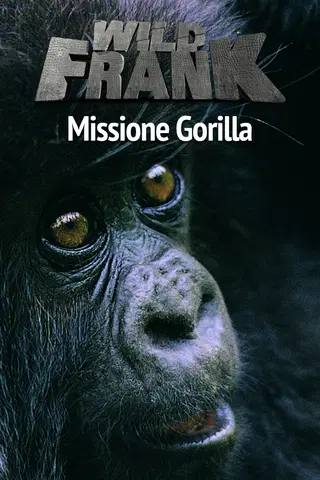 Wild Frank: Gorillas