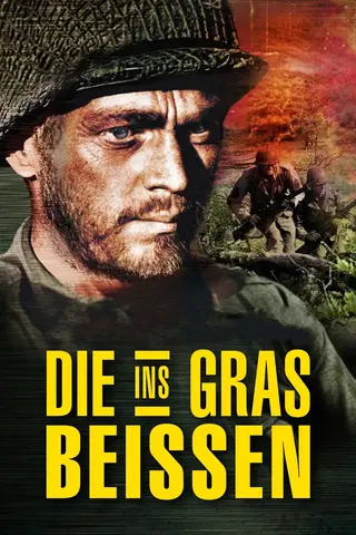 Die ins Gras beißen