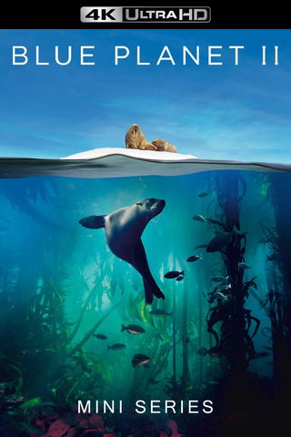 Blue Planet II