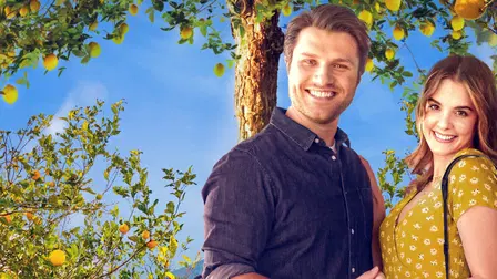 Love Under the Lemon Tree