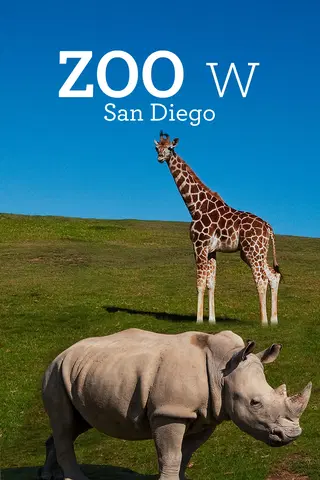 The Zoo: San Diego