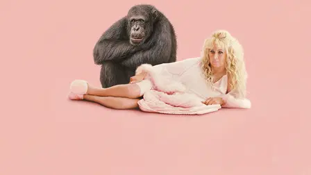 Chimp Crazy: La signora delle scimmie