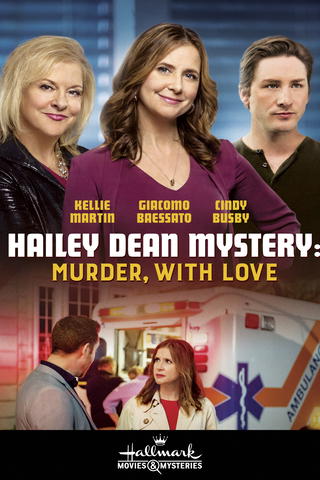 Hailey Dean Mysteries: 2+2=Murder