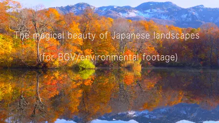 The magical beauty of Japanese landscapes（for BGV／environmental footage）