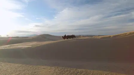 Echoes of the Empire: Beyond Genghis Khan