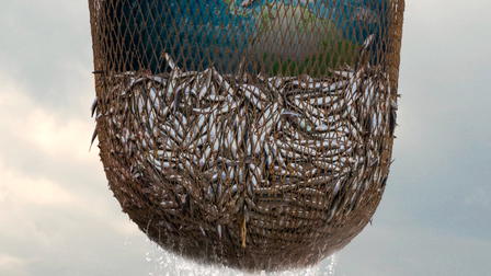 Seaspiracy : La pêche en question