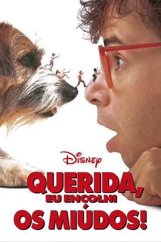 Querida, Eu Encolhi os Miúdos!