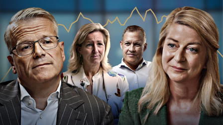 Topdirektørerne